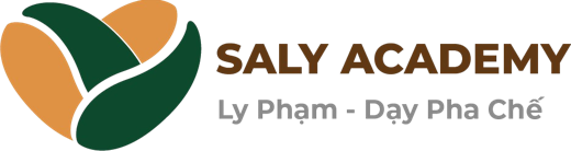 Logo Saly Academy, đơn vị đã làm hệ thống học với MONA