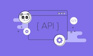 API là gì? Tổng hợp kiến thức và đặc điểm nổi bật của API