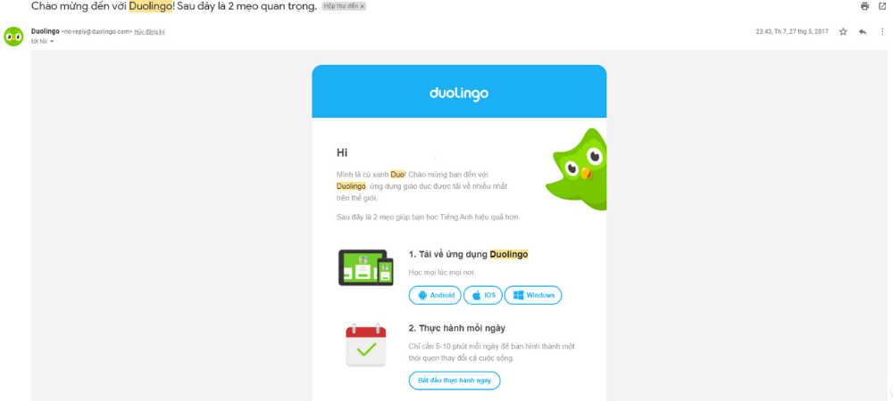 mẫu email chào mừng của duolingo