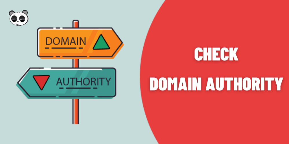kiểm tra domain authority