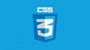 CSS là gì? Những thông tin cần biết về ngôn ngữ CSS