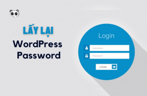 3 Cách lấy lại mật khẩu wordpress admin đơn giản nhất
