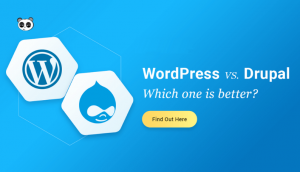 Drupal là gì? So sánh giữa 2 nền tảng Drupal vs WordPress