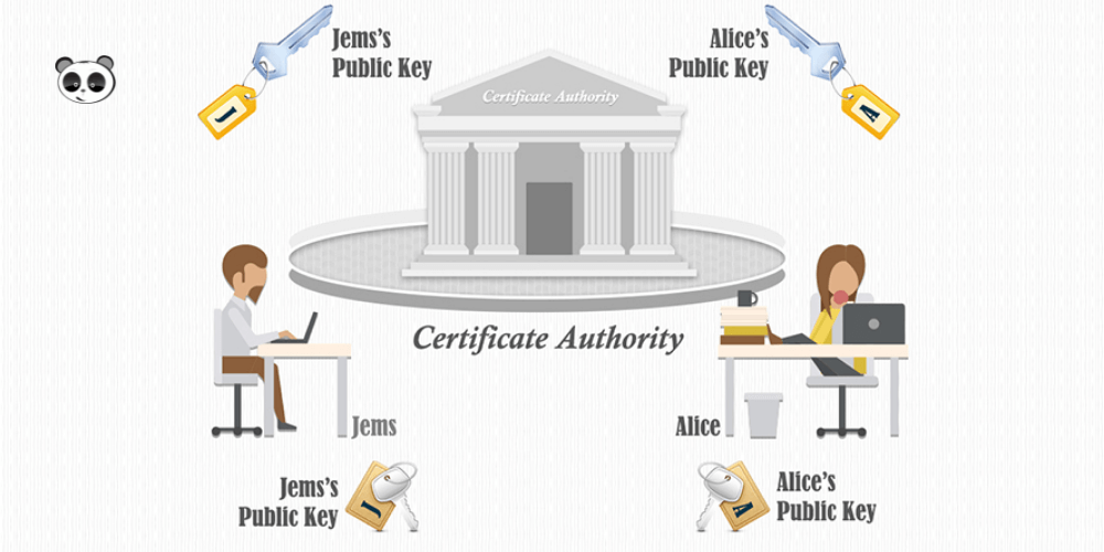 nhà cung cấp certificate authority 