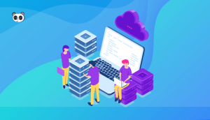 Hướng dẫn cách kiểm tra tốc độ hosting nhanh chóng, hiệu quả