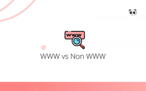 Khác biệt giữa tên miền có WWW và không có WWW