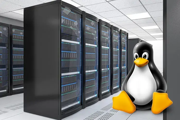 Hosting Linux là gì? Nên mua hosting Linux hay Windows?