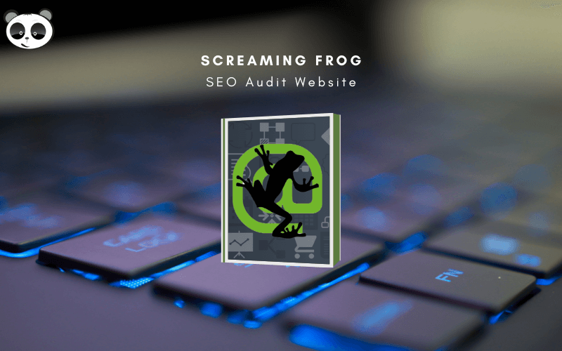screaming frog là gì