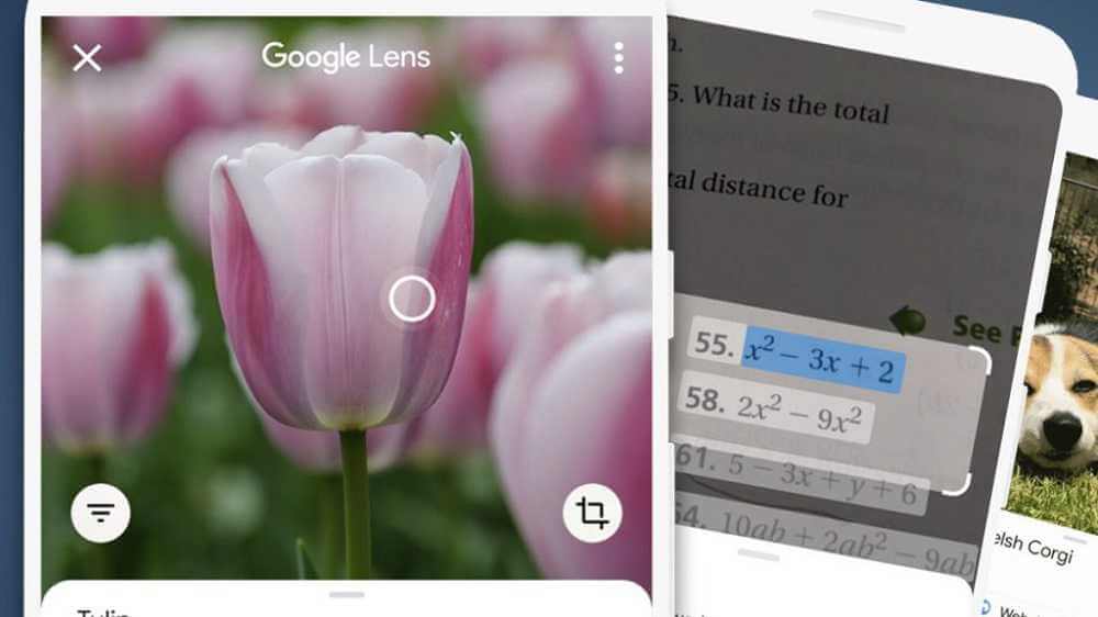 Giải bài tập bằng Google Lens