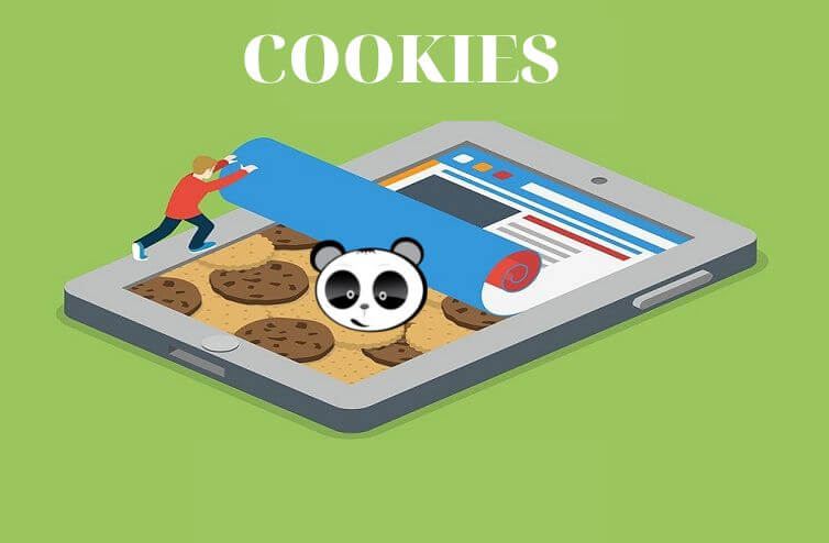 Kiến thức về Cookies