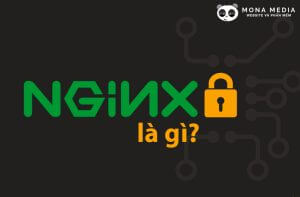 NGINX là gì? Những thông tin cần biết về NGINX Server