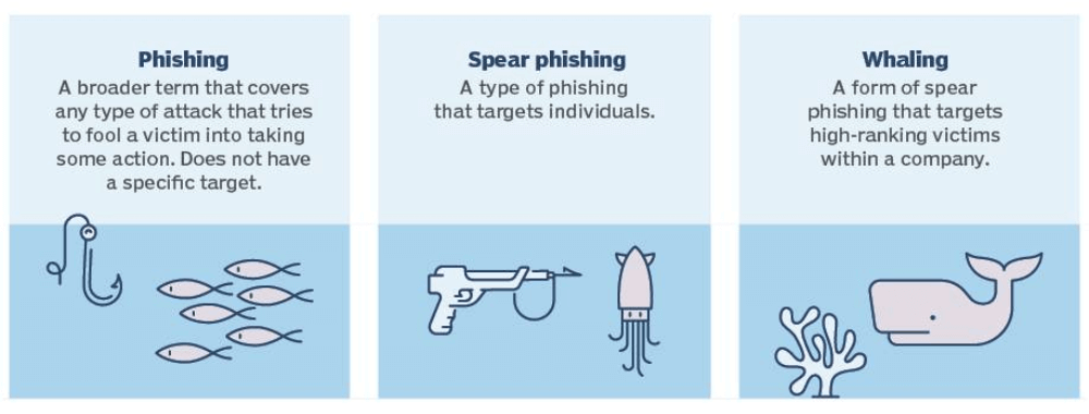 phân biệt phishing, spear phishing và whaling attack