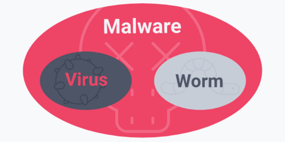 so sánh worm máy tính và virus