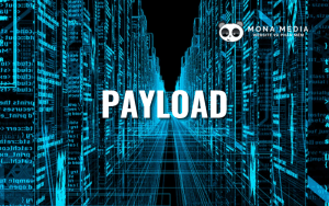 Payload là gì? Cách phòng chống Payload hiệu quả