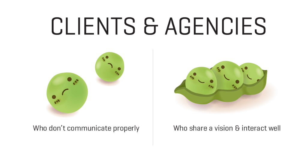 Vai trò của client với agency