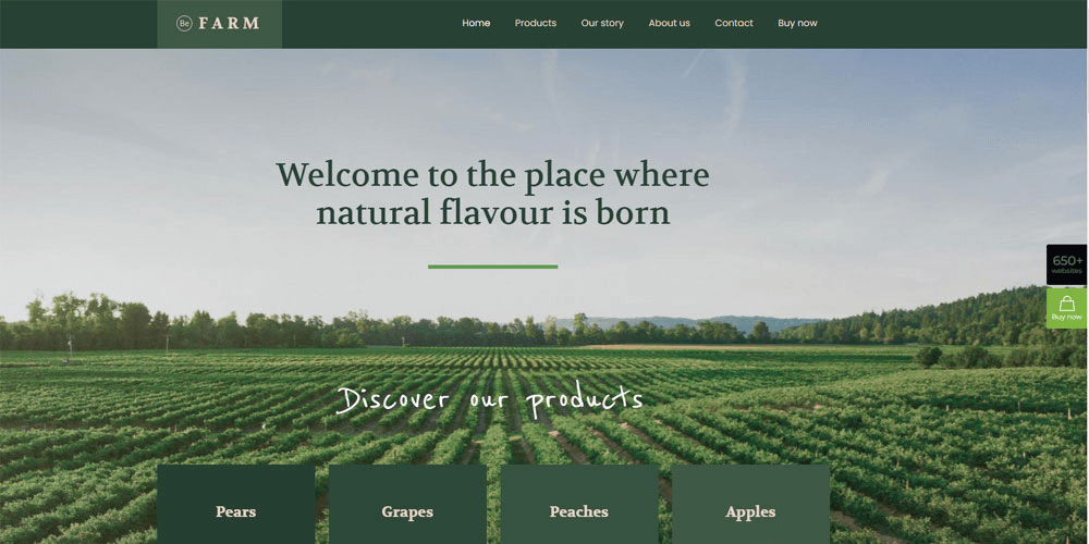 thiết kế website trang trại cần gì
