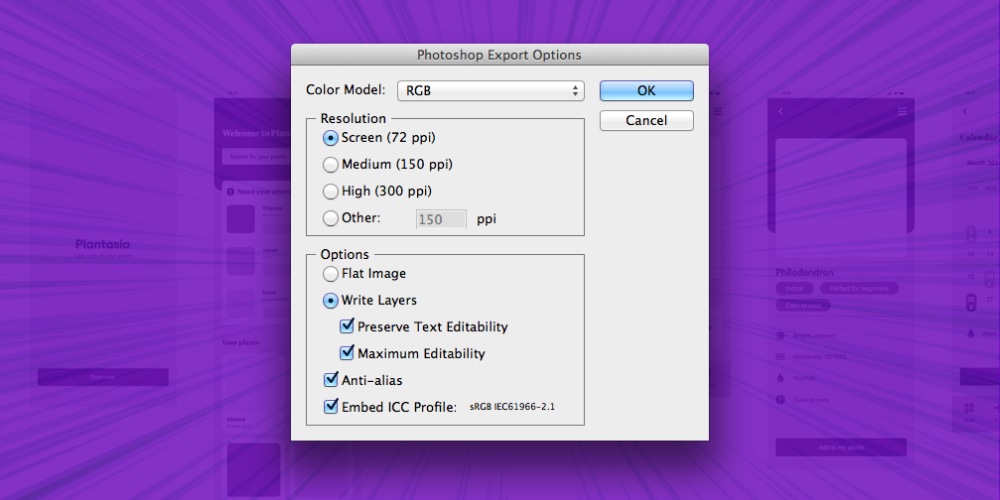Chuyển wireframe thành giao diện trực quan