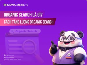 Organic Search là gì? Cách tăng lượng organic search cho website
