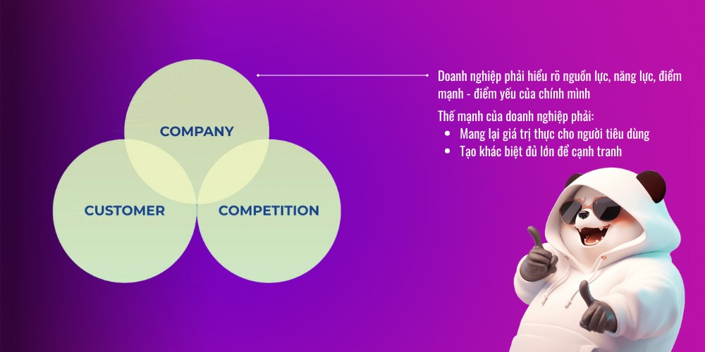 Yếu tố Company trong mô hình 3C