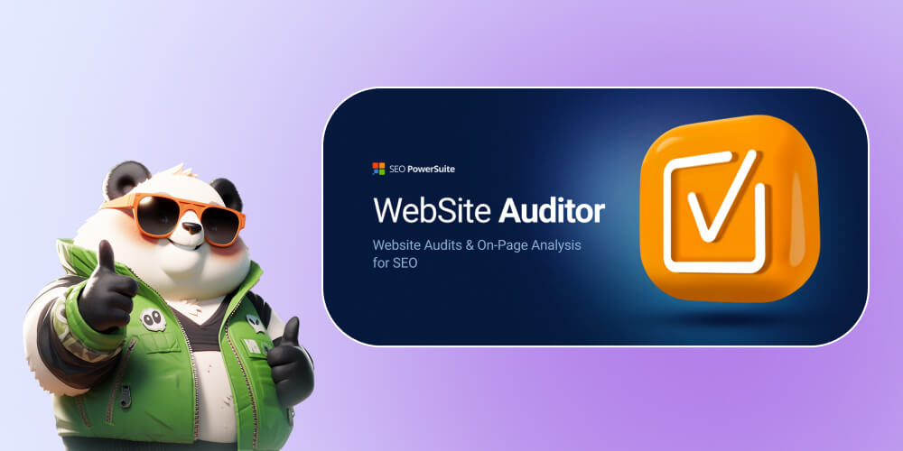 Công cụ Website Auditor