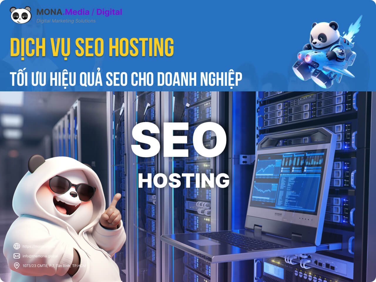 Dịch vụ SEO hosting