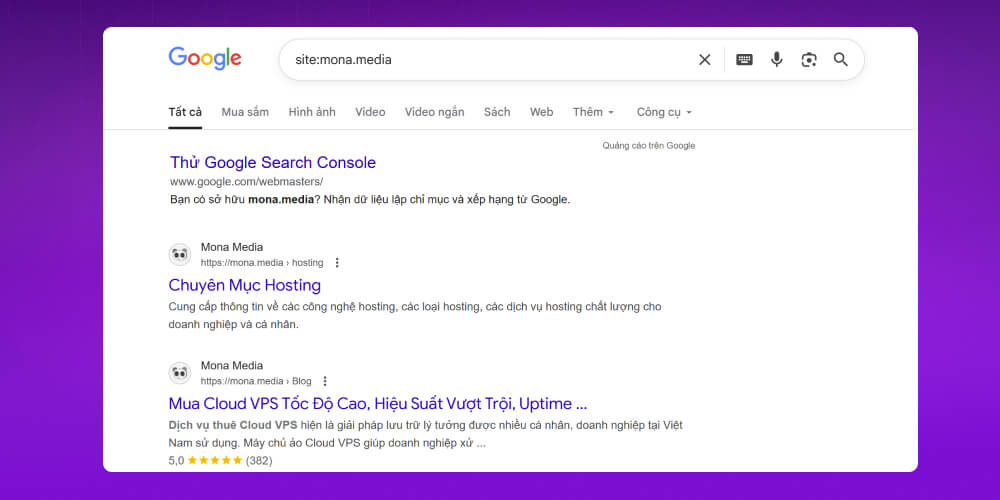 dùng lệnh site: check index 