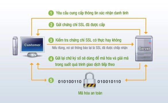 ssl là gì và cách hoạt động ssl
