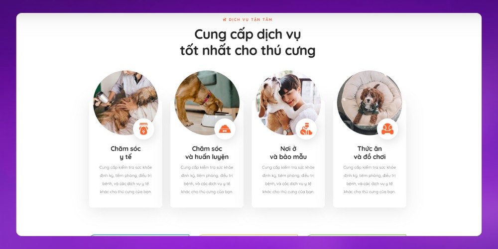 Mở rộng kinh doanh nhờ thiết kế web thú cưng