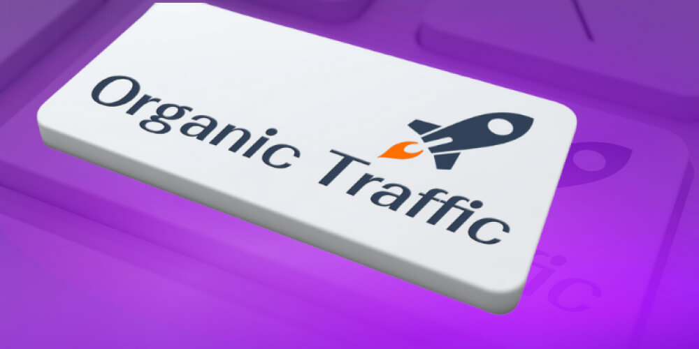 Organic traffic là gì