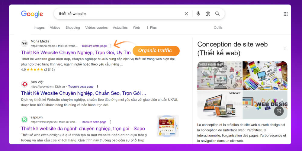 organic traffic từ google