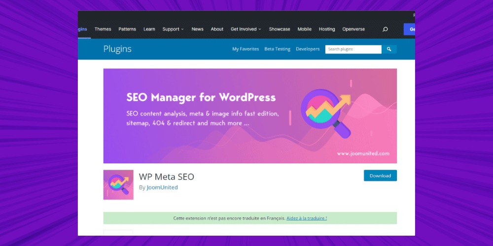 Plugin WP Meta SEO