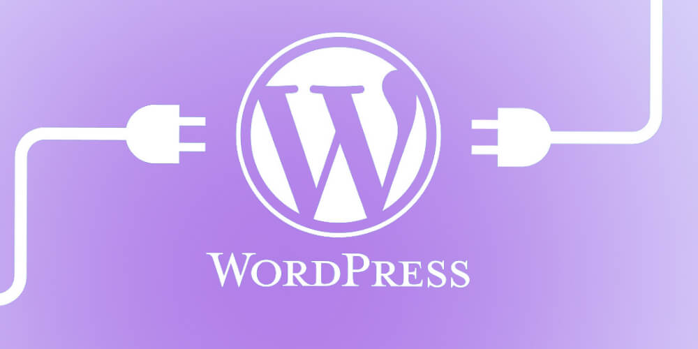 Plugin wordpress là gì