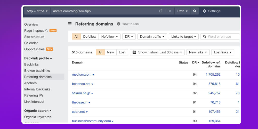 Referring Domains là gì