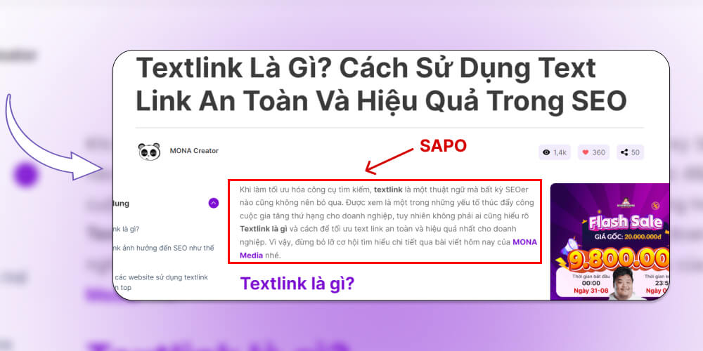 Đoạn sapo là gì