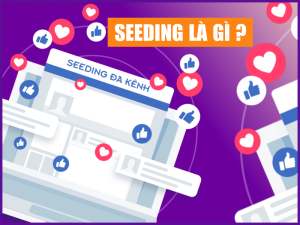 Seeding là gì? 3 Giai đoạn triển khai chiến dịch Seeding