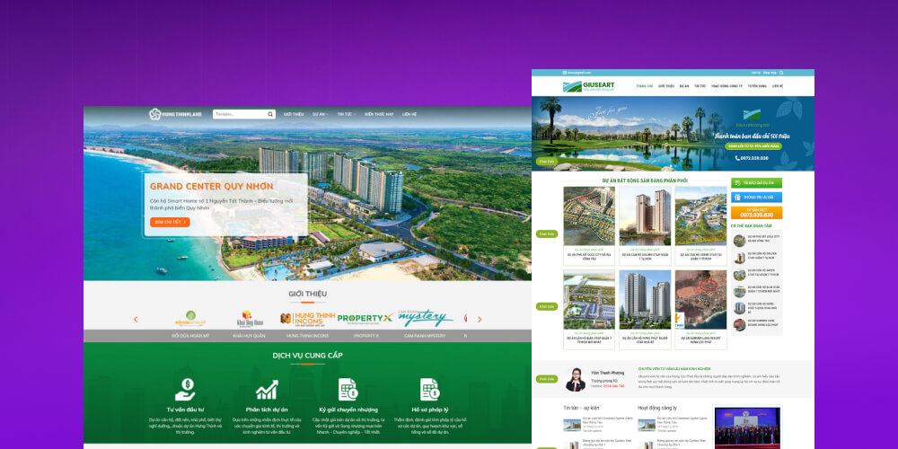 Theme WordPress bds là gì