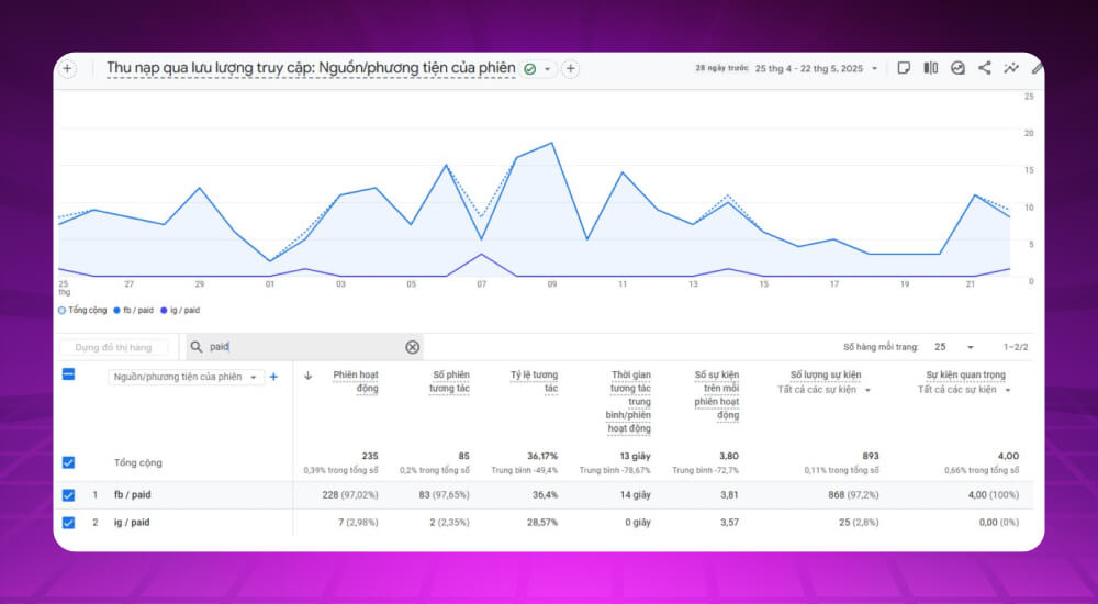 Thống kê Paid referral traffic cho website