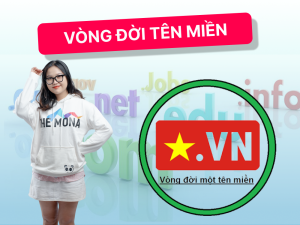 Vòng đời tên miền .vn Việt Nam và Quốc tế chi tiết nhất 2026