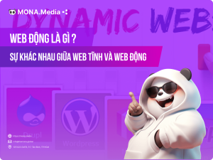 Web động là gì? Sự khác nhau giữa web tĩnh và web động