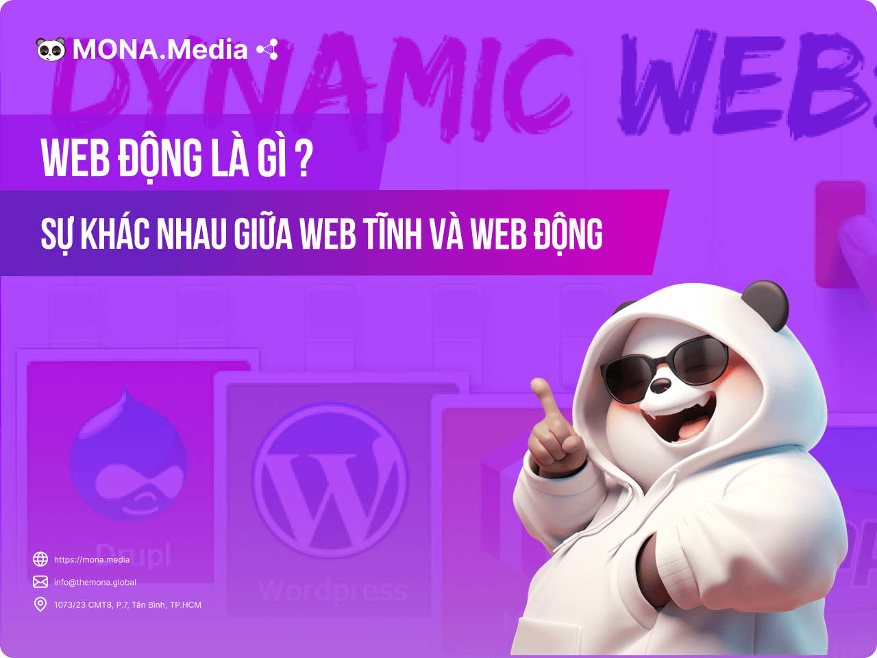 Web động là gì