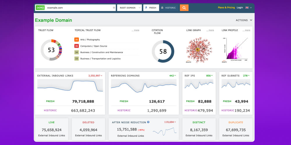 xem tổng quan website