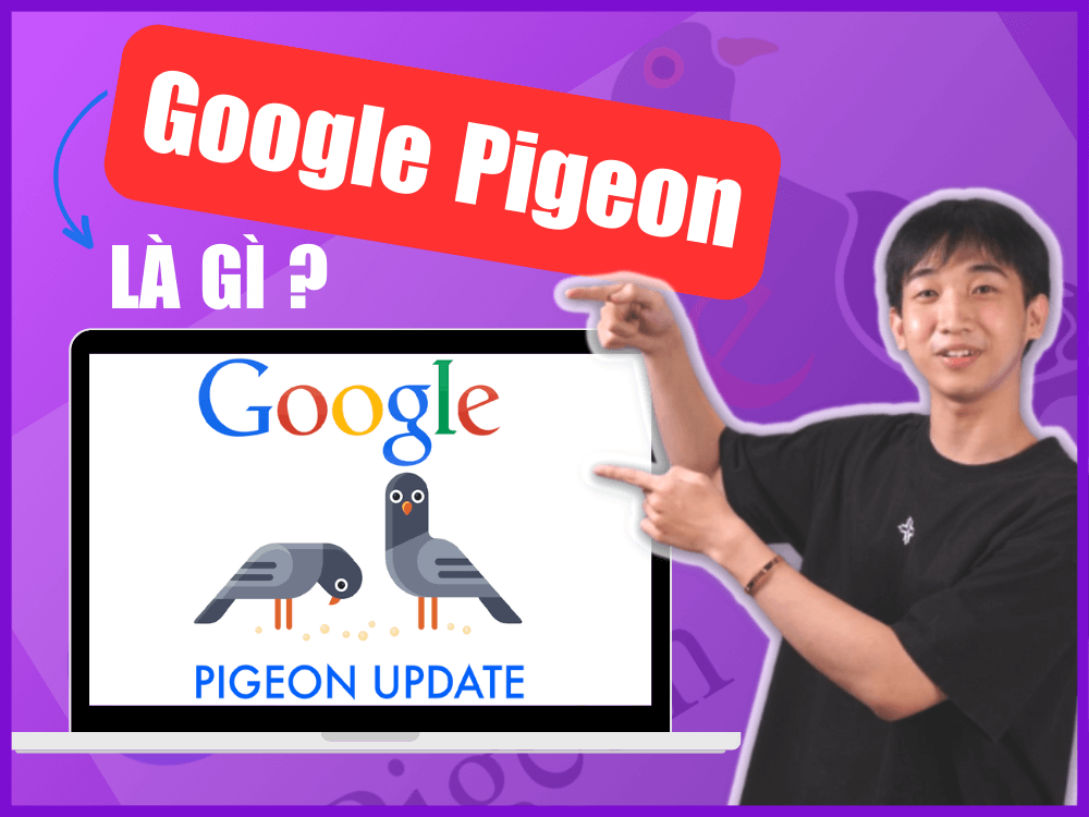 Google Pigeon là gì? Những điều cần biết về thuật toán Pigeon
