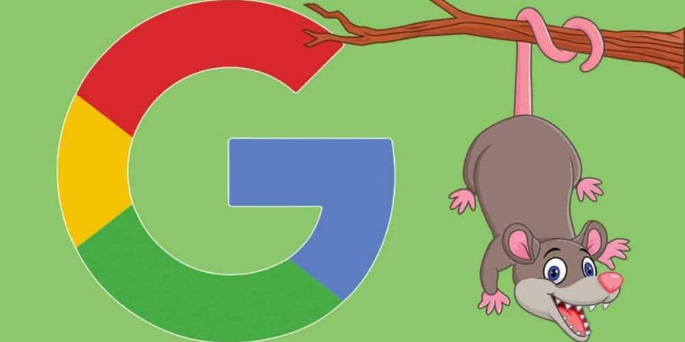 Google Possum là gì?