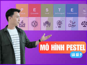 Mô hình Pestel là gì? Ứng dụng Pestel vào môi trường kinh doanh 