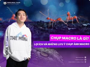 Chụp Macro Là Gì? Lợi Ích Và Những Lưu Ý Chụp Ảnh Macro