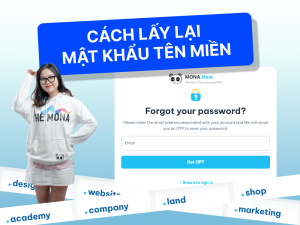 Hướng dẫn lấy lại mật khẩu tên miền tại MONA