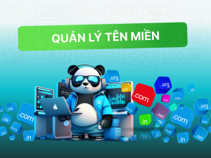 Quản lý tên miền là gì? Nhà đăng ký và nhà quản lý domain khác nhau như thế nào?