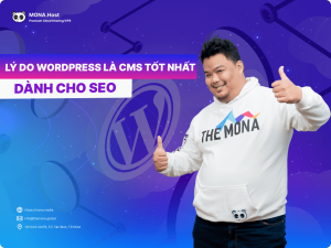 10 Lý Do WordPress Là CMS Tốt Nhất Cho SEO Hiện Nay