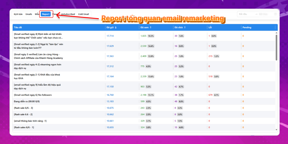 Report tổng quan email remarketing