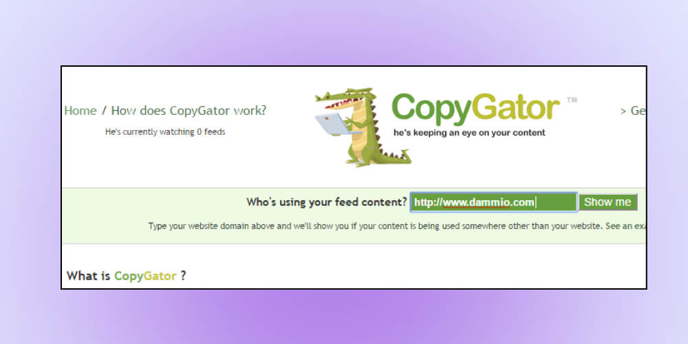 Ứng dụng kiểm tra bài viết chuẩn SEO Copygator